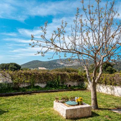 Niforato Studios Enos 02