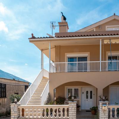 Niforato Studios Enos 07