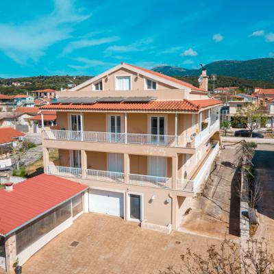 Niforato Studios Enos 11