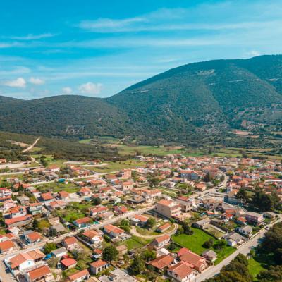 Niforato Studios Enos 14