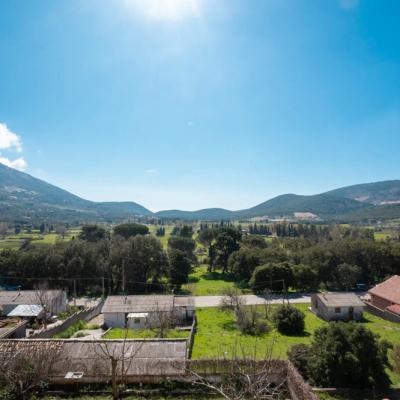 Niforato Studios Enos 50