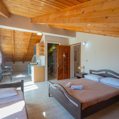 Niforato Studios Enos 56